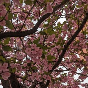 Meet your Posher, Monika